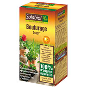 bouturage osiryl - solabiol